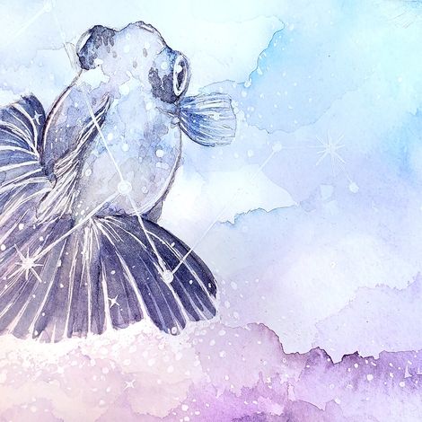 A goldfish swimming in the night sky as a unique constellation.