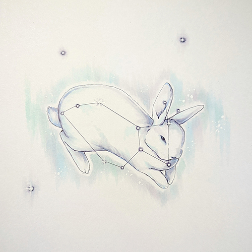 Constellation Bunn by Amanda Eldreth