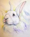 A watercolor portrait of BunnBun the New Zealand white rabbit.