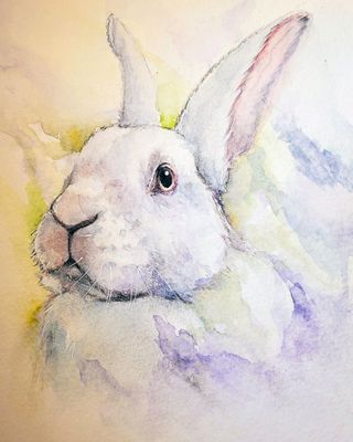 A watercolor portrait of BunnBun the New Zealand white rabbit.