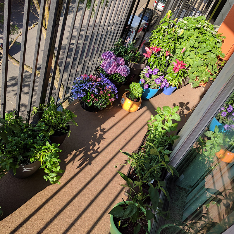 Outdoor patio garden in the middle of the city.
